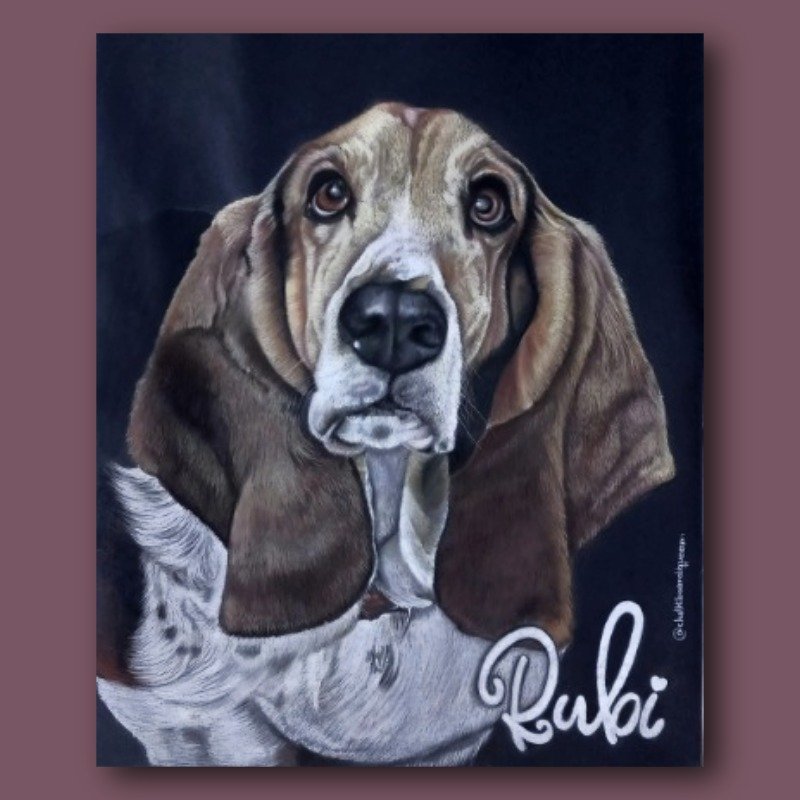 retratos com alma retratos com alma