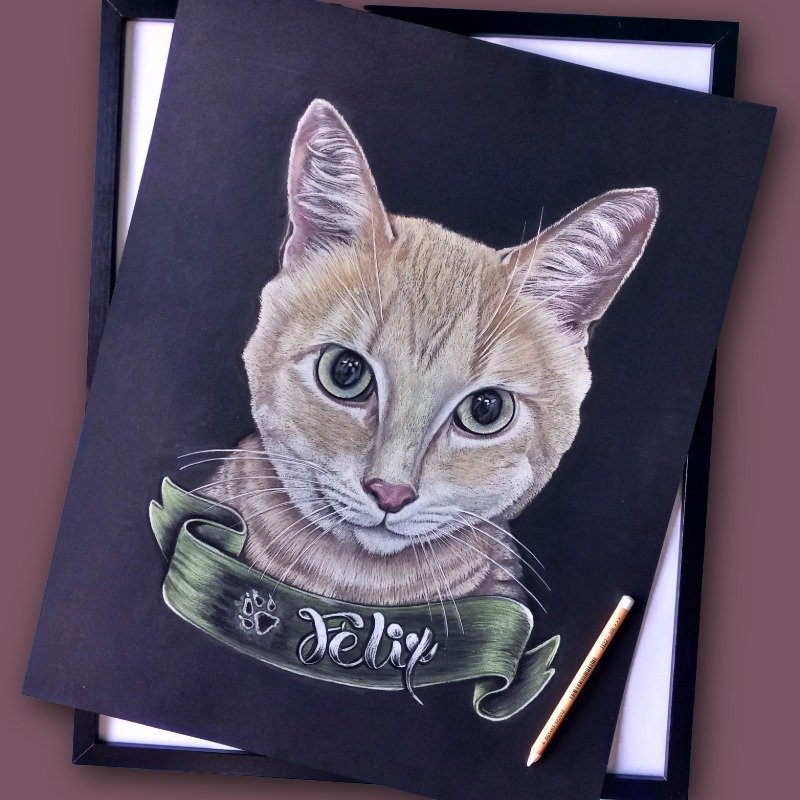 retratos com alma retratos com alma